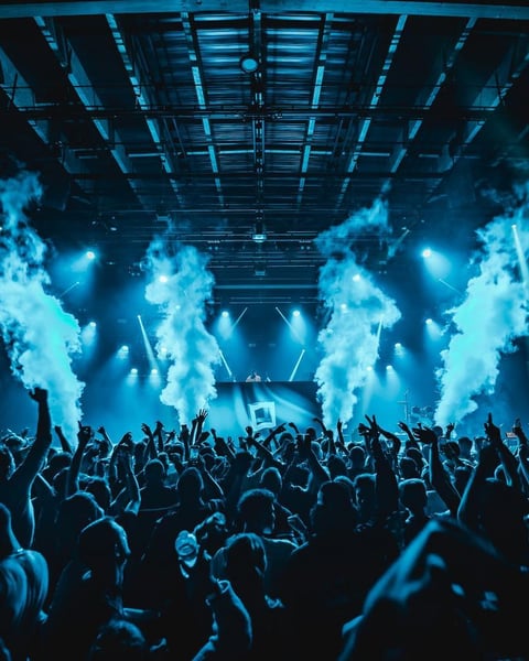 Lons Electronic Festival