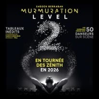 Murmuration Level 2