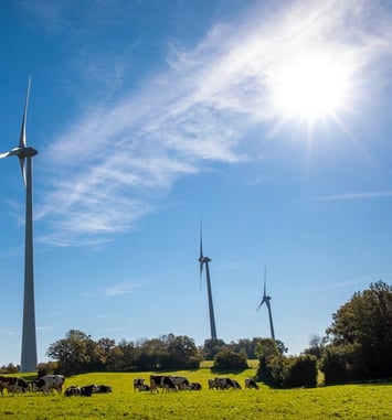 L'éolienne citoyenne de Chamole ouvre ses portes au public