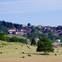 Déambulation musicale sur le sentier du Baco, micro conférences sur le parcours comparatif photographique