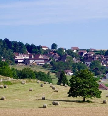 Déambulation musicale sur le sentier du Baco, micro conférences sur le parcours comparatif photographique
