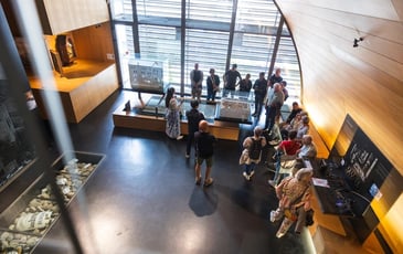 Visite guidée du Musée de la Lunette