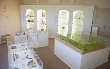 Ateliers pédagogiques et créatifs !