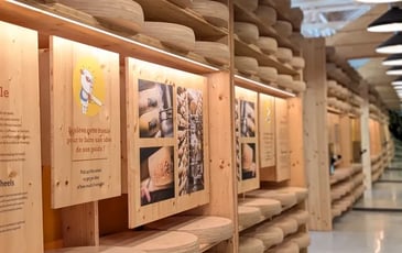 Visite libre de la Maison du Comté !