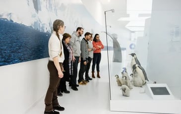 Visites flash surprises à l'espace des Mondes polaires