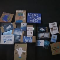 Atelier en continu et en autonomie « Il fait vrai-manchot ! »