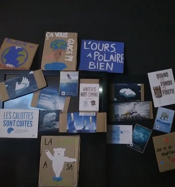 Atelier en continu et en autonomie « Il fait vrai-manchot ! »