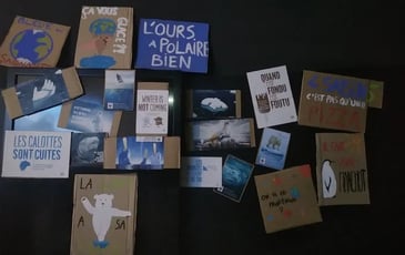 Atelier en continu et en autonomie « Il fait vrai-manchot ! »