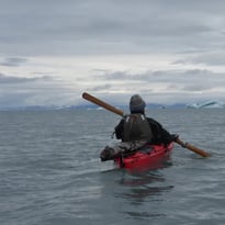 Visite flash « La civilisation du phoque », suivie d'un atelier « Le kayak du point de vue d'un ethnologue »