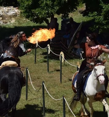 Animations au Château de Chevreaux