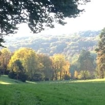 Visite commentée du parc du château de Taxenne