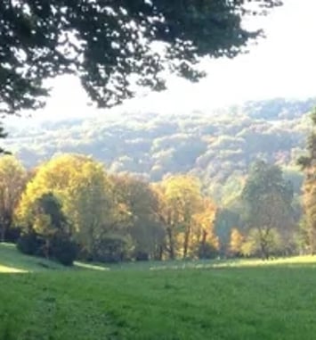 Visite commentée du parc du château de Taxenne