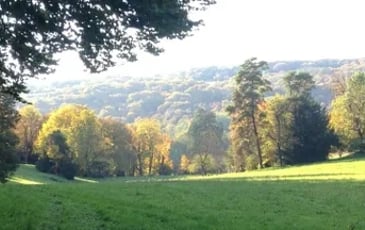Visite commentée du parc du château de Taxenne