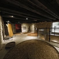 Visite des tanneries