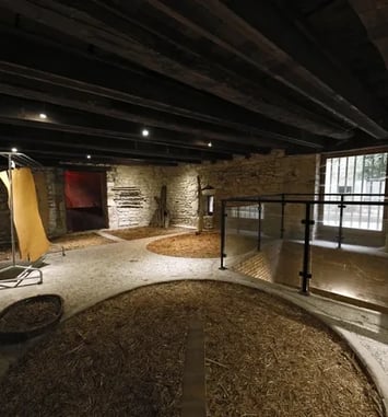 Visite des tanneries