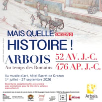 Visite guidée de l'exposition temporaire et de la collection permanente du musée d'Art d'Arbois