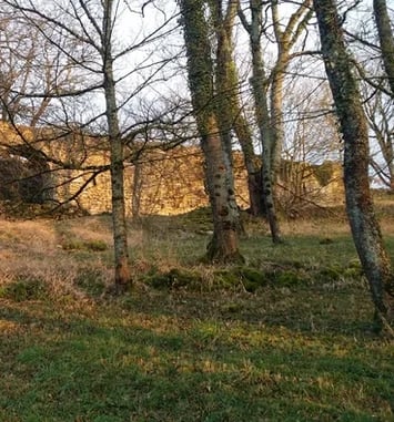 Visite du Château de Beaufort