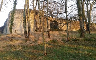 Visite du Château de Beaufort