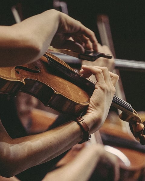 Cordes Sensibles