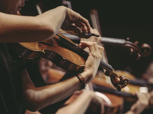 Cordes Sensibles